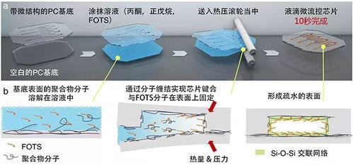 燕窝表面一层亮亮的成分及是否变质分析