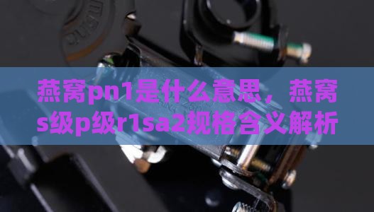 燕窝pn1是什么意思，燕窝s级p级r1sa2规格含义解析