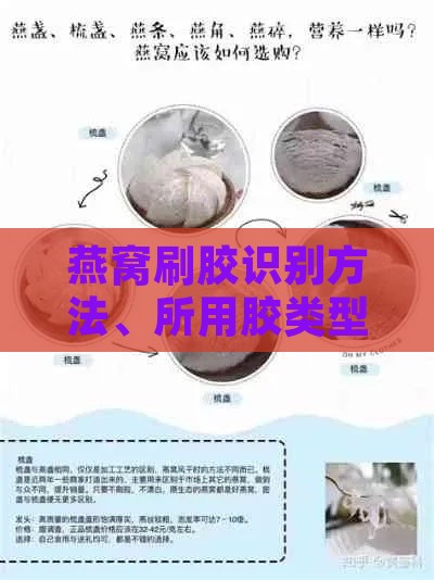 燕窝刷胶识别方法、所用胶类型及与不刷胶区别，对身体影响与食用安全性分析