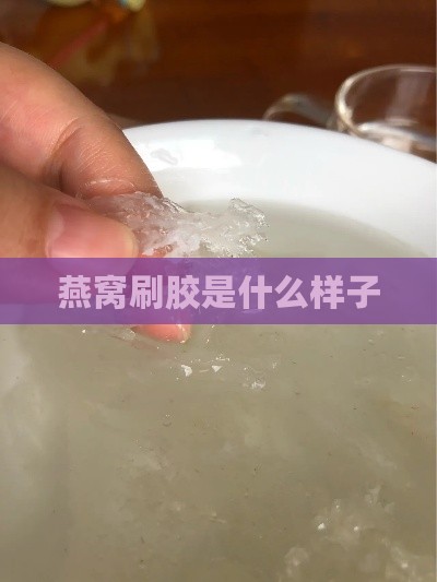 燕窝刷胶是什么样子