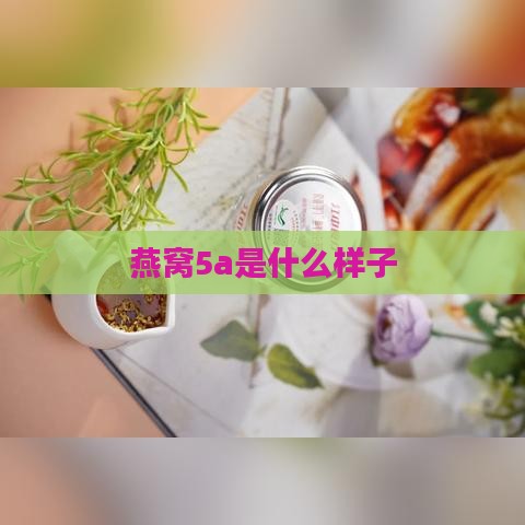 燕窝5a是什么样子