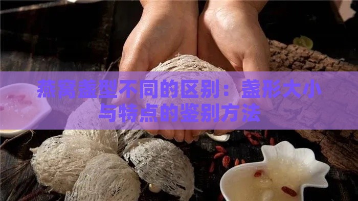 燕窝盏型不同的区别：盏形大小与特点的鉴别方法