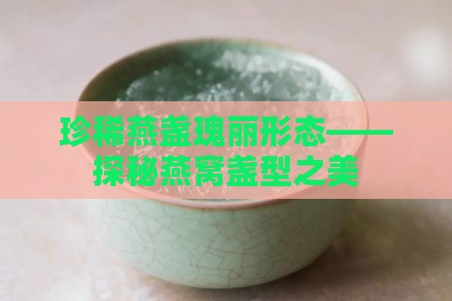 珍稀燕盏瑰丽形态——探秘燕窝盏型之美