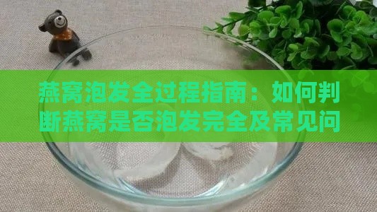 燕窝泡发全过程指南：如何判断燕窝是否泡发完全及常见问题解析