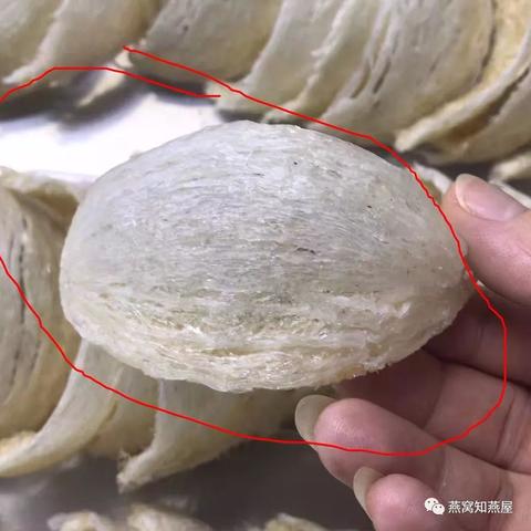 燕窝泡完什么样正常