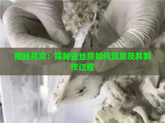 揭秘燕窝：探秘金丝燕如何筑巢及其制作过程