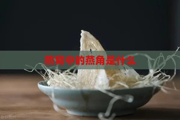 燕窝中的燕角是什么