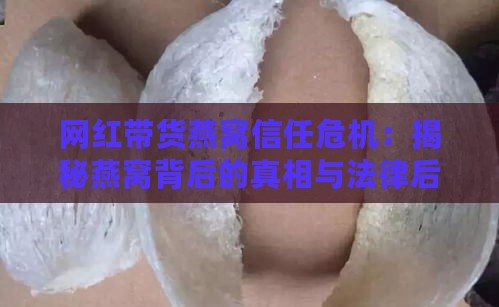 网红带货燕窝信任危机：揭秘燕窝背后的真相与法律后果