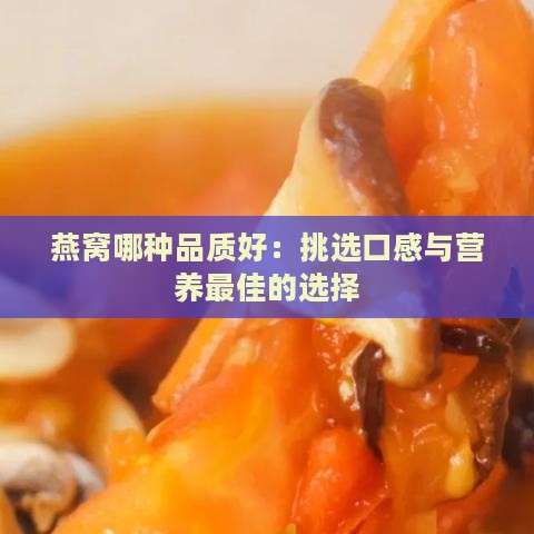 燕窝哪种品质好：挑选口感与营养更佳的选择