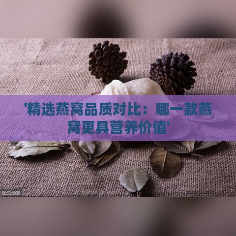 '精选燕窝品质对比：哪一款燕窝更具营养价值'