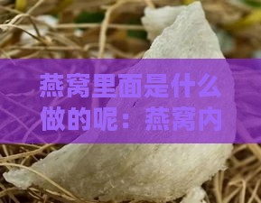 燕窝里面是什么做的呢：燕窝内部成分及构成解析