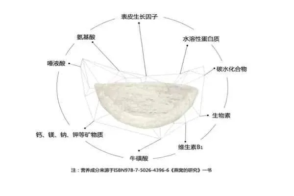 揭秘燕窝的成分：了解燕窝的来源、制作过程及营养价值