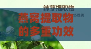 燕窝提取物的多重功效与全面解析：从养生保健到肌肤护理