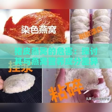 猪皮燕窝的危害：探讨其与燕窝营养成分差异及潜在影响