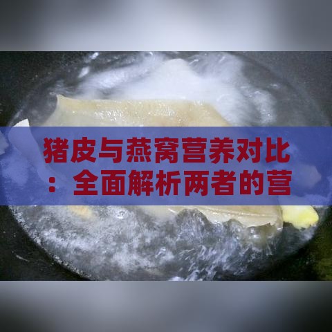 猪皮与燕窝营养对比：全面解析两者的营养价值与保健功效