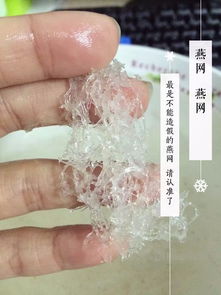 燕窝未加工什么样子