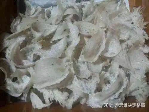 燕窝长霉是什么意思啊：能否食用及处理方法详解