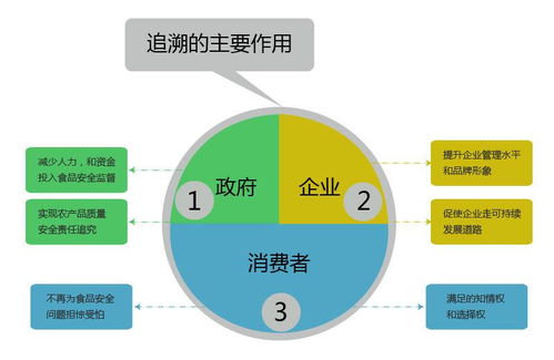 揭秘T级燕窝标准：全面解析燕之冠燕窝的品质保证与追溯