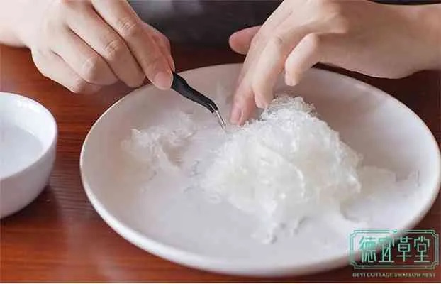 详解血燕窝的制作过程、食用方法及营养功效