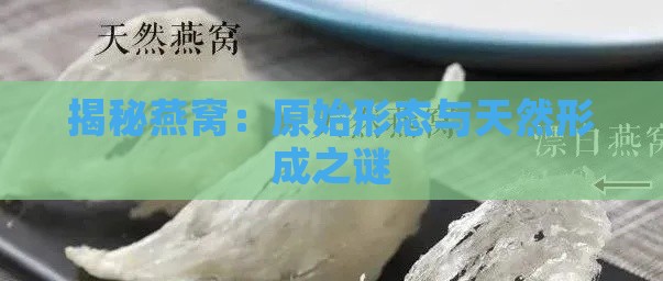 揭秘燕窝：原始形态与天然形成之谜