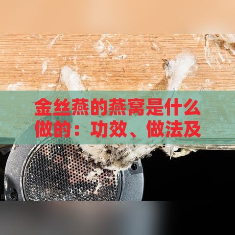 金丝燕的燕窝是什么做的：功效、做法及初次燕窝命名详解