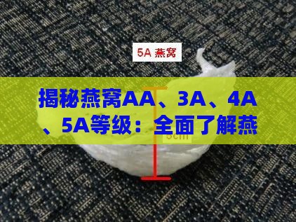 揭秘燕窝AA、3A、4A、5A等级：全面了解燕窝品质与尺寸含义