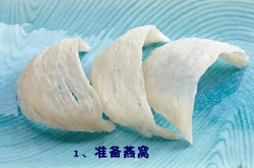 燕窝A1：全面解析功效、挑选方法与食用技巧，满足您的健康需求