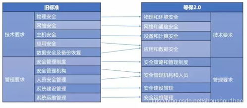 探究燕窝品质：6A与7A等级的区别及鉴别方法