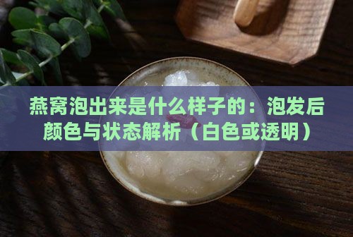 燕窝泡出来是什么样子的：泡发后颜色与状态解析（白色或透明）