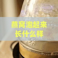 燕窝泡起来长什么样