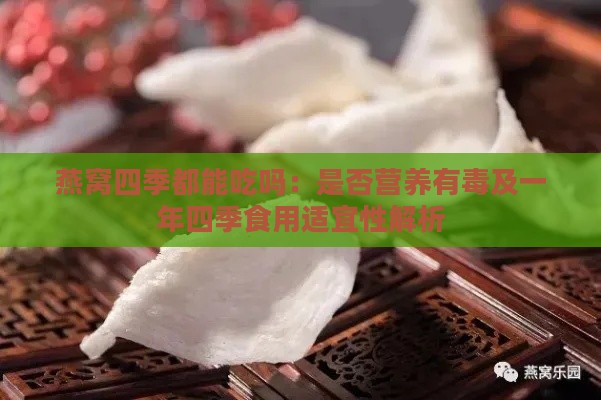 燕窝四季都能吃吗：是否营养有及一年四季食用适宜性解析