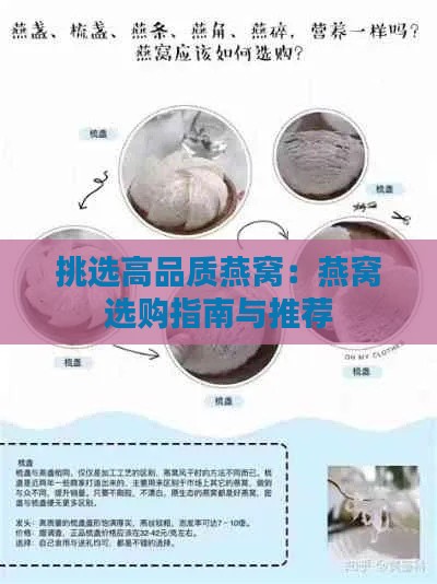 挑选高品质燕窝：燕窝选购指南与推荐