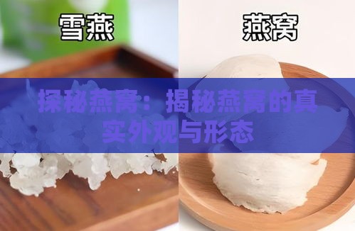 探秘燕窝：揭秘燕窝的真实外观与形态