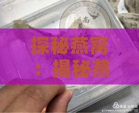 探秘燕窝：揭秘燕窝的真实外观与形态