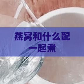 燕窝和什么配一起煮