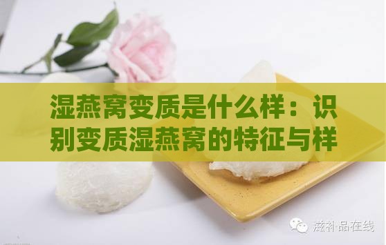 湿燕窝变质是什么样：识别变质湿燕窝的特征与样子