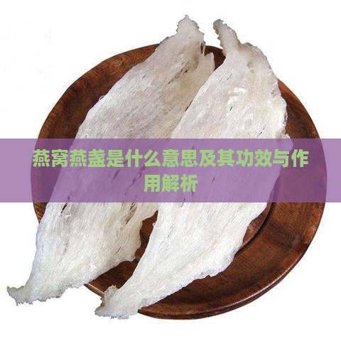 燕窝燕盏是什么意思及其功效与作用解析