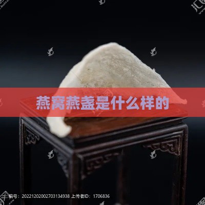 燕窝燕盏是什么样的