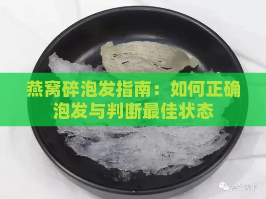 燕窝碎泡发指南：如何正确泡发与判断更佳状态