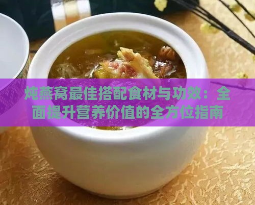 炖燕窝更佳搭配食材与功效：全面提升营养价值的全方位指南