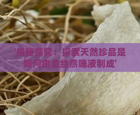 '揭秘燕窝：探索天然珍品是如何由金丝燕唾液制成'