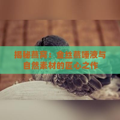 揭秘燕窝：金丝燕唾液与自然素材的匠心之作