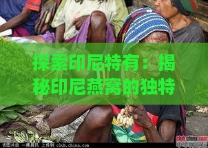 探索印尼特有：揭秘印尼燕窝的独特品质与魅力