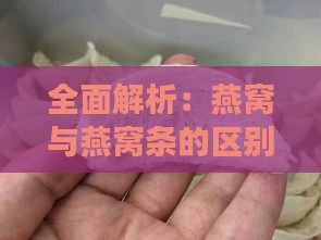 全面解析：燕窝与燕窝条的区别、挑选指南及食用建议