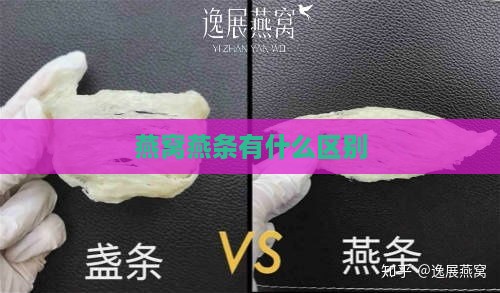 燕窝燕条有什么区别