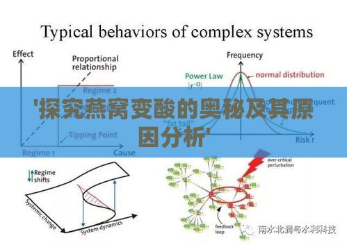 '探究燕窝变酸的奥秘及其原因分析'