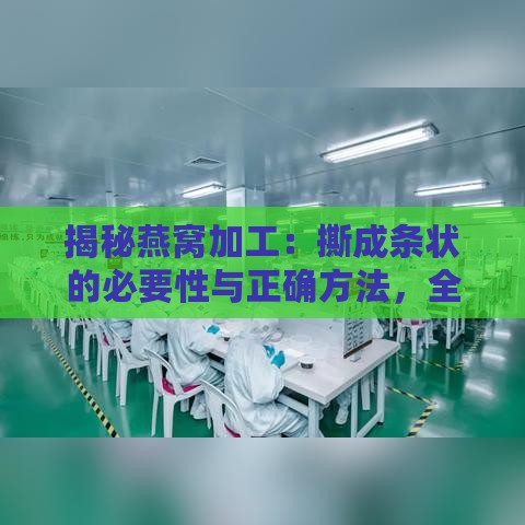 揭秘燕窝加工：撕成条状的必要性与正确方法，全面解析燕窝处理全过程