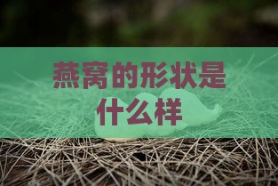 燕窝的形状是什么样