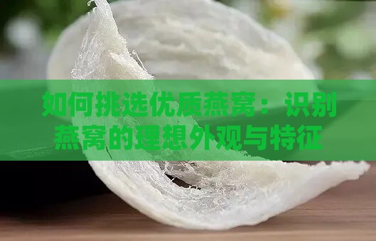 如何挑选优质燕窝：识别燕窝的理想外观与特征