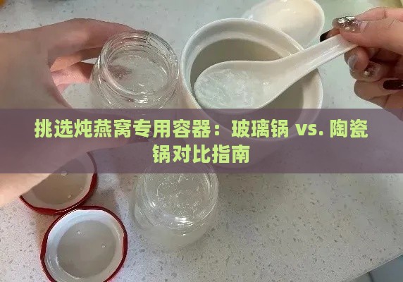 挑选炖燕窝专用容器：玻璃锅 vs. 陶瓷锅对比指南